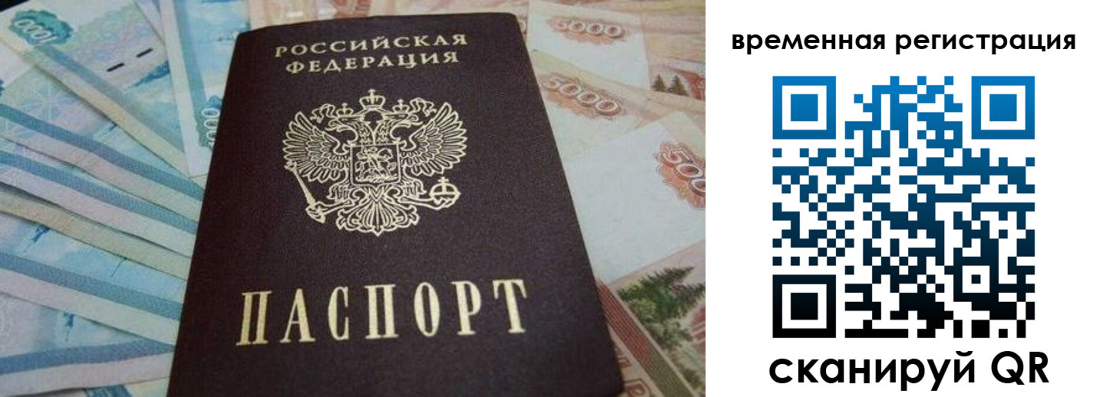 временная регистрация гарантия в Кашине